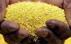 Exploitation aurifère: Le Groupe  Randgold  a produit 22 tonnes d’or en 2017