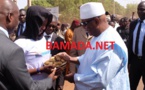 Mali : Le  plan de financement de la campagne agricole 2018-2019 chiffré  à 353,7 milliards de francs Mali : Le  plan de financement de la campagne agricole 2018-2019 chiffré  à 353,7 milliards de francs