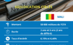 Résultat Obligations du Trésor du Mali : 22 milliards de FCFA dans les coffres du trésor malien