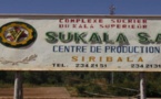 Mali : Mévente du sucre produit par N’SUKALA SA