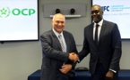 Construction de quatre centrales solaires : L’Ifc et le groupe Ocp consolident leur partenariat avec un prêt de 100 millions d’euros