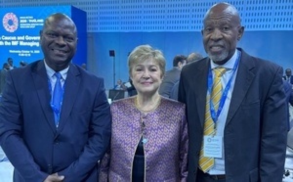 AFRIQUE - Accélération de la transformation économique : Le Groupe des gouverneurs africains et le Fmi renforcent leur partenariat